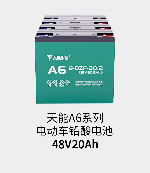 尊龙凯时电池48v20ah